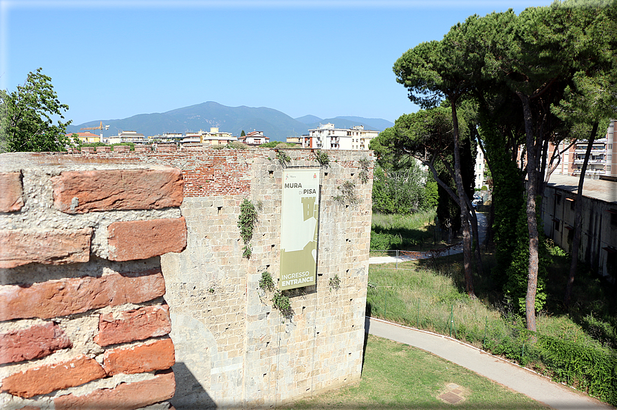 foto Camminamento delle mura di Pisa
